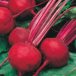Load image into Gallery viewer, Beetroot - 140 Premium Seeds
