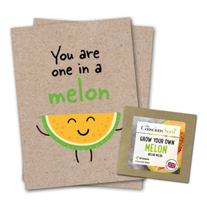 You Are One In A Melon - Eco Kraft Greeting Card
