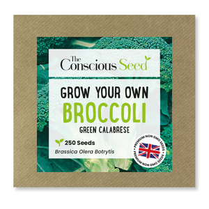 Broccoli - 250 Premium Seeds