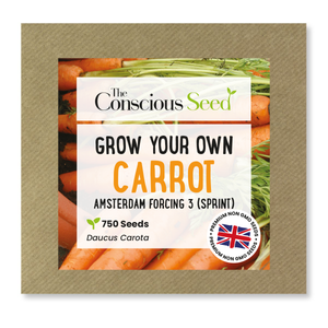 Carrot - 750 Premium Seeds
