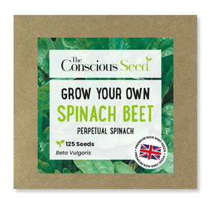 Spinach Beet - 125 Premium Seeds