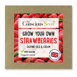 Strawberries - 250 Premium Seeds