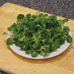 Load image into Gallery viewer, Lambs Lettuce - 250 Premium Seeds
